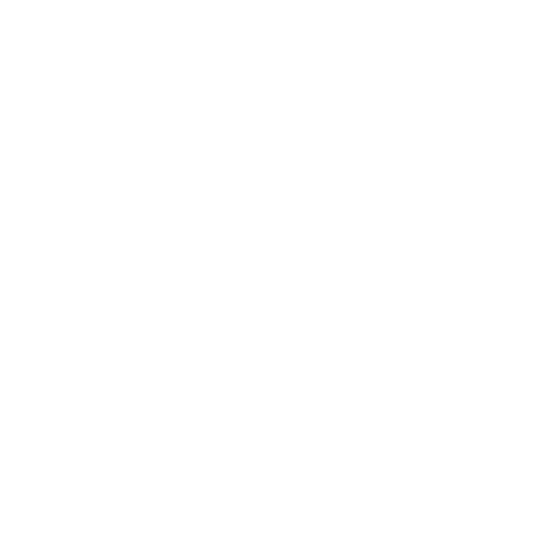 palachic